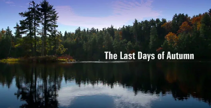 The Last Days of Autumn   A Canon 7D film on Vimeo